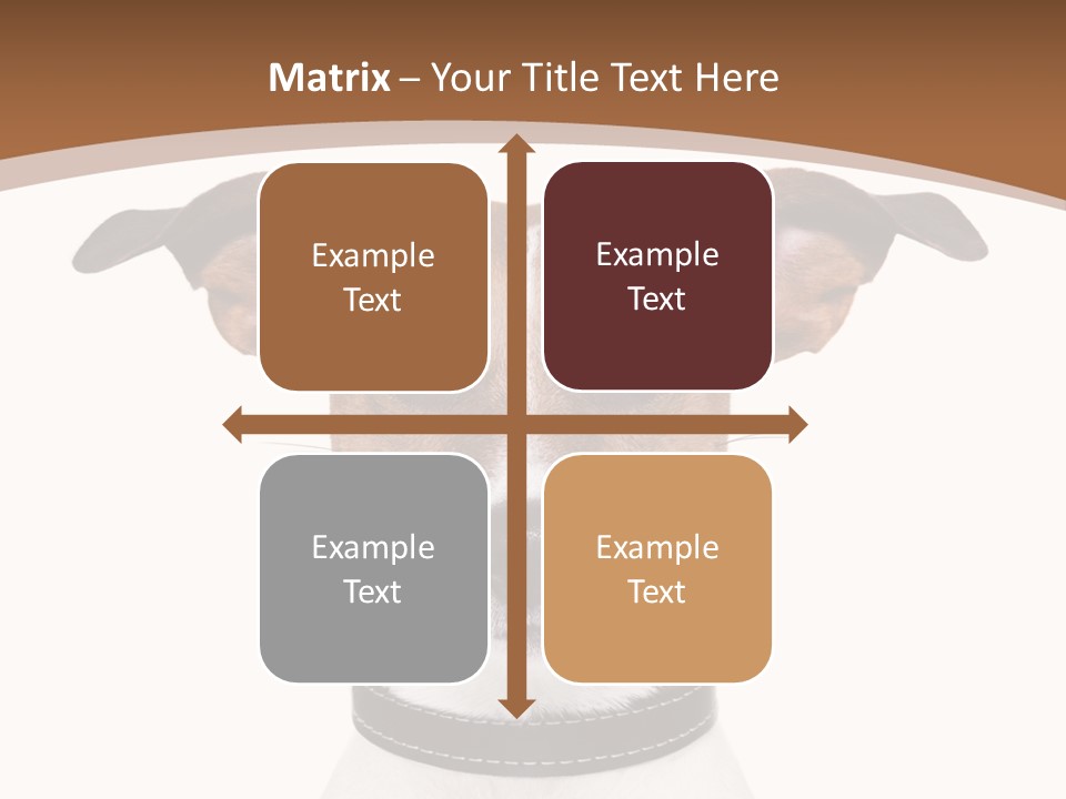Funny Vet Spoon PowerPoint Template