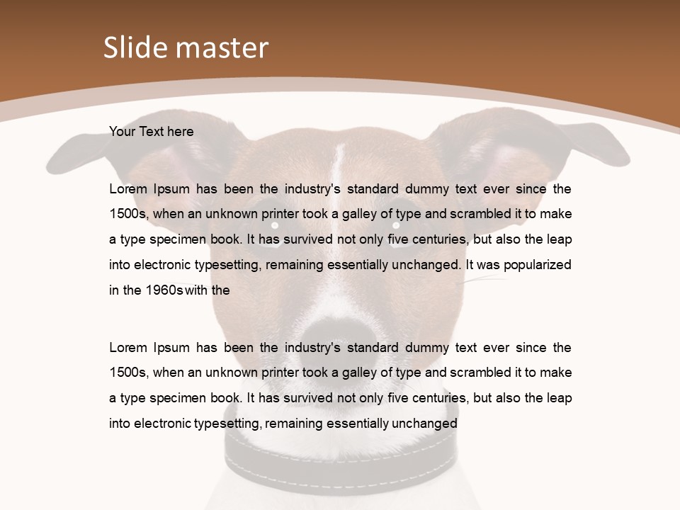 Funny Vet Spoon PowerPoint Template