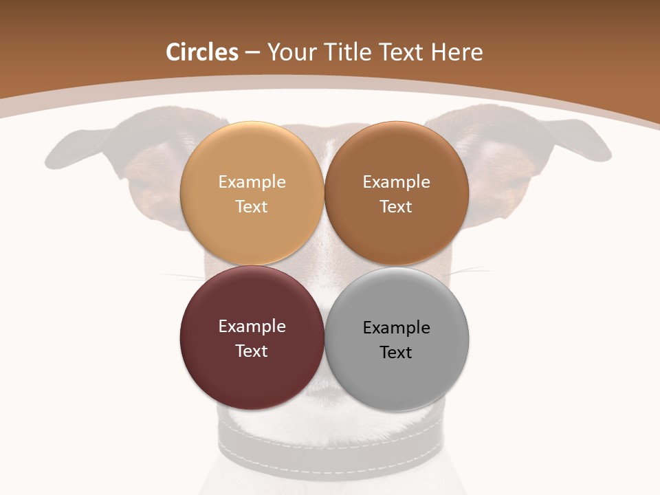 Funny Vet Spoon PowerPoint Template