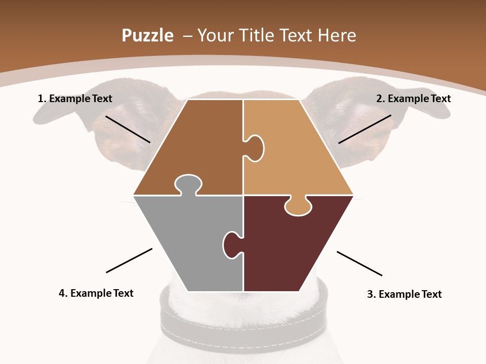 Funny Vet Spoon PowerPoint Template