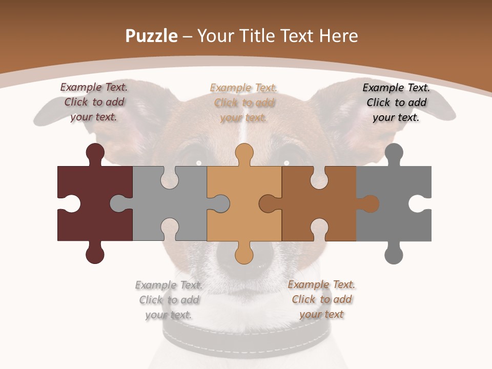 Funny Vet Spoon PowerPoint Template