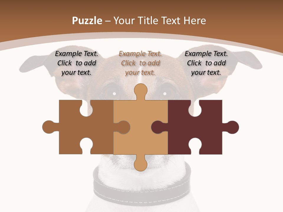 Funny Vet Spoon PowerPoint Template