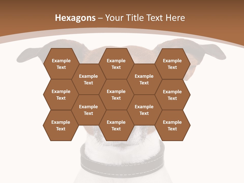 Funny Vet Spoon PowerPoint Template