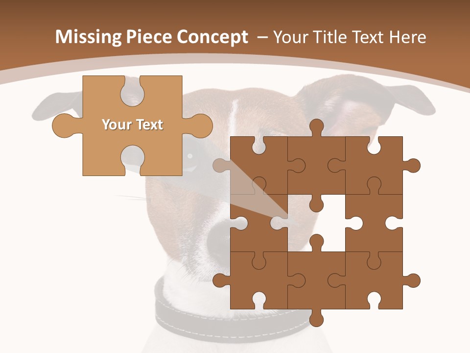 Funny Vet Spoon PowerPoint Template