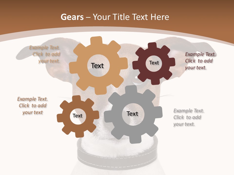Funny Vet Spoon PowerPoint Template