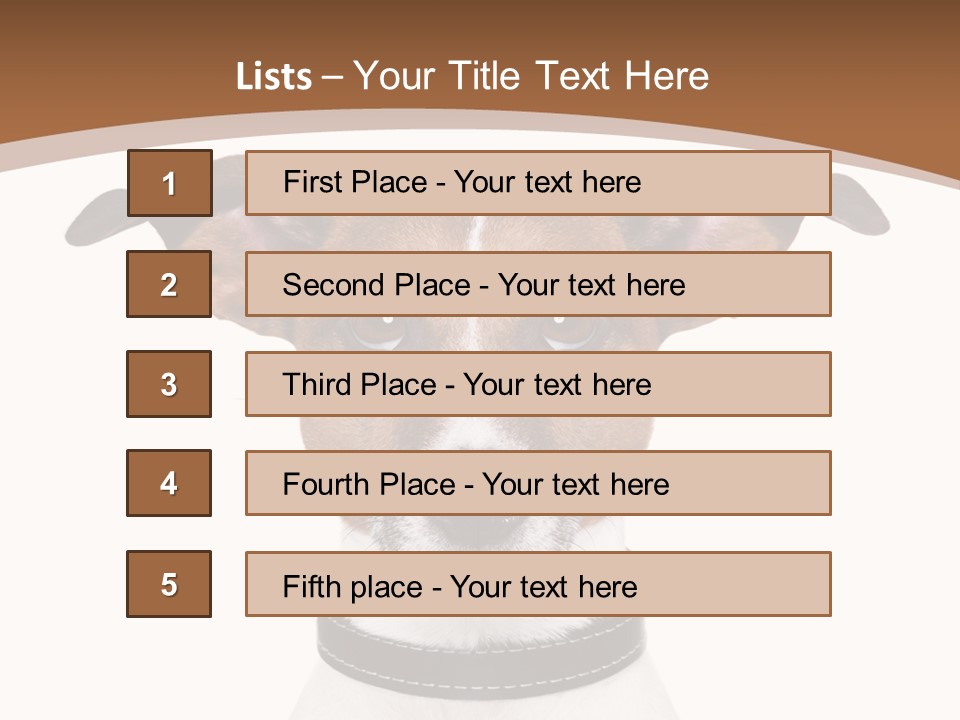 Funny Vet Spoon PowerPoint Template