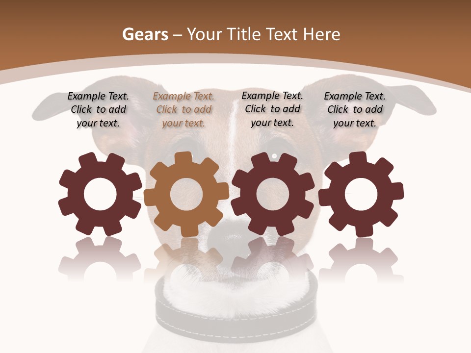 Funny Vet Spoon PowerPoint Template