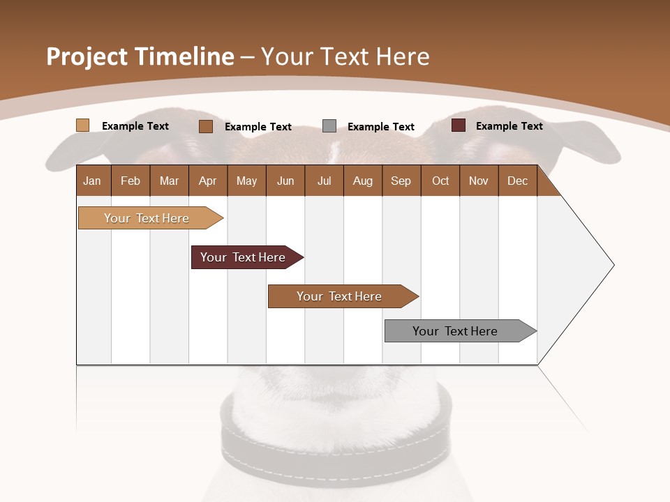 Funny Vet Spoon PowerPoint Template