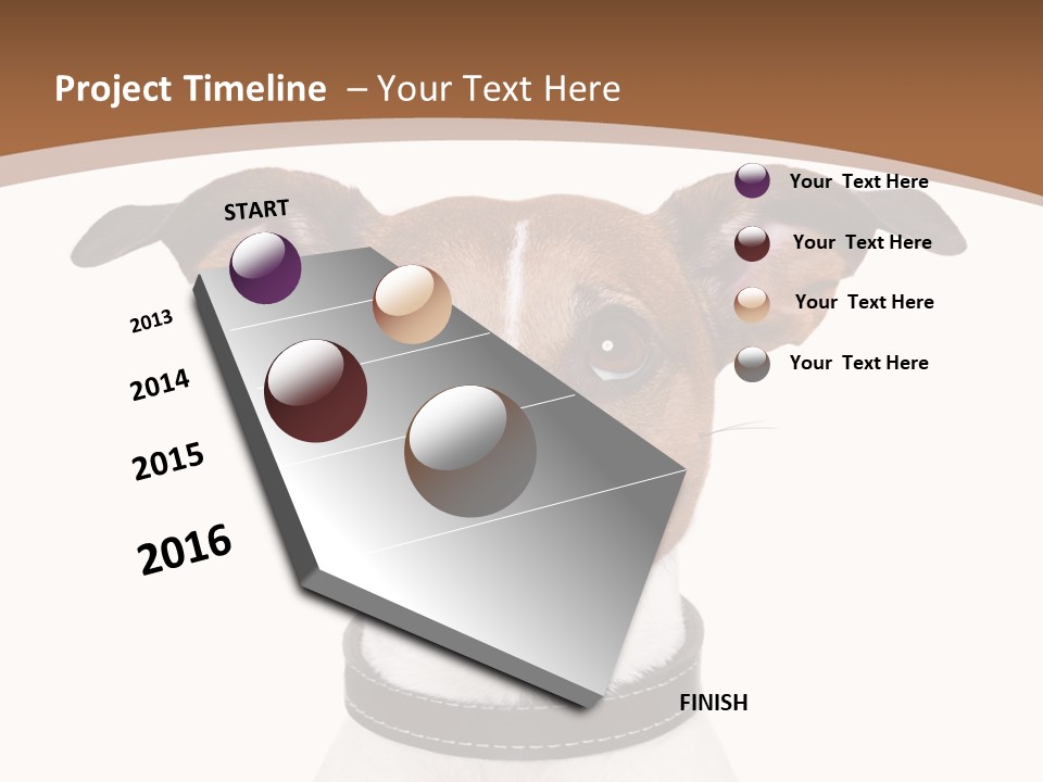 Funny Vet Spoon PowerPoint Template