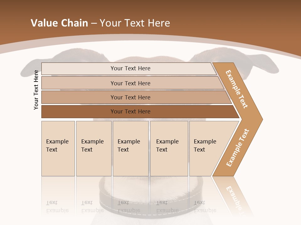 Funny Vet Spoon PowerPoint Template