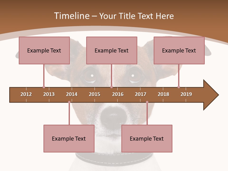 Funny Vet Spoon PowerPoint Template