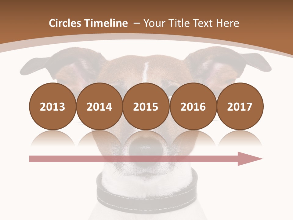 Funny Vet Spoon PowerPoint Template