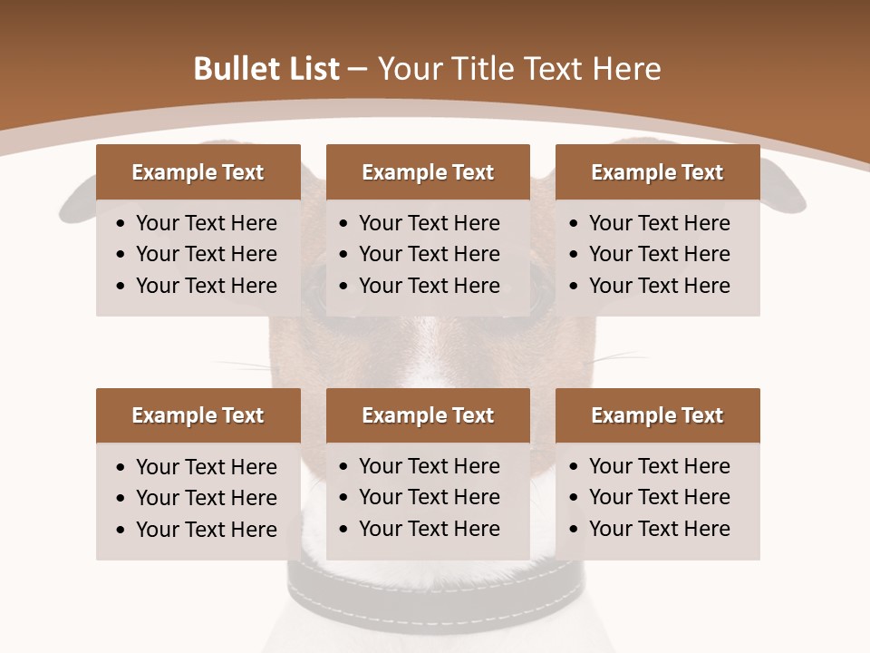 Funny Vet Spoon PowerPoint Template