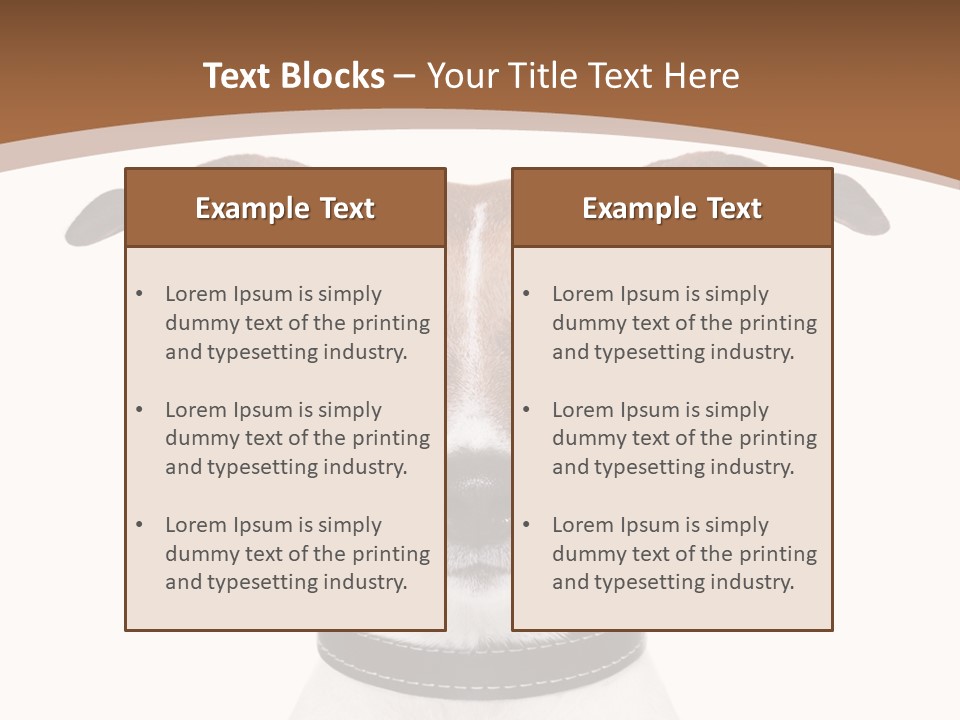 Funny Vet Spoon PowerPoint Template