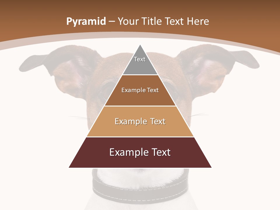 Funny Vet Spoon PowerPoint Template