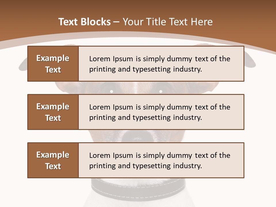 Funny Vet Spoon PowerPoint Template