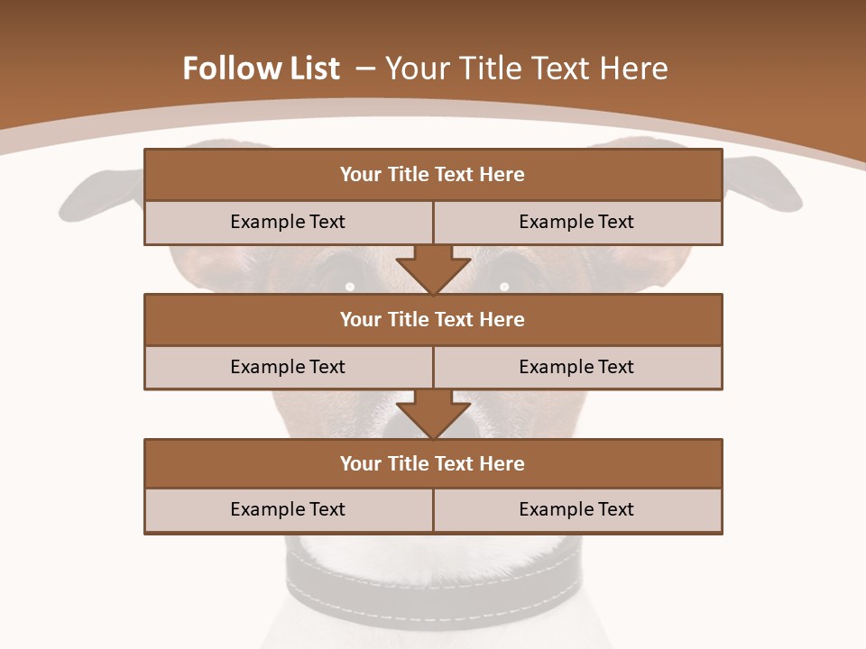 Funny Vet Spoon PowerPoint Template