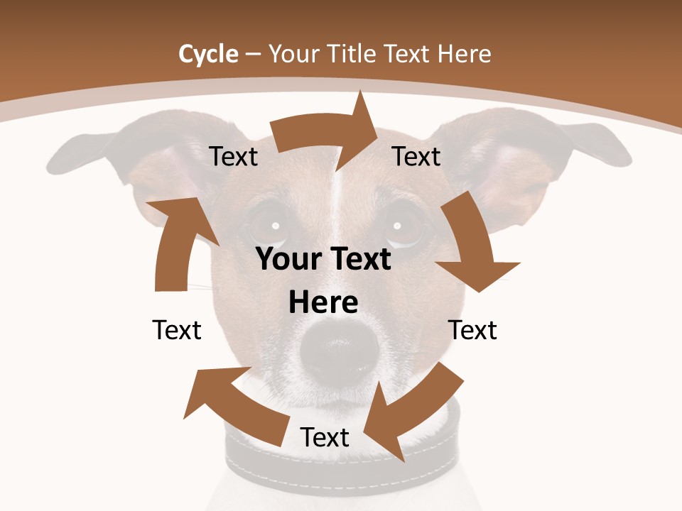 Funny Vet Spoon PowerPoint Template