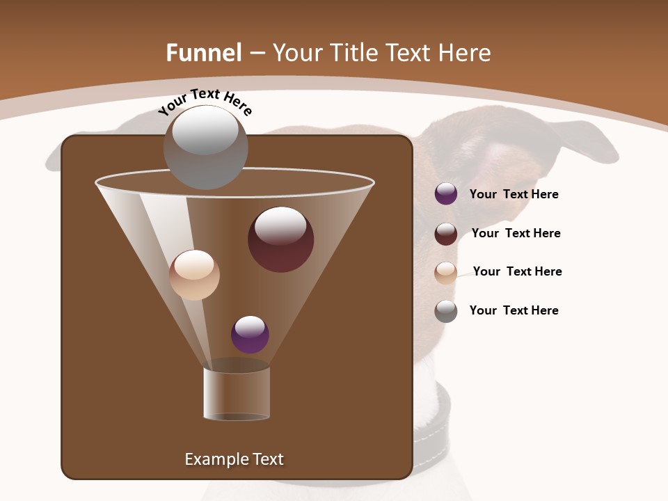 Funny Vet Spoon PowerPoint Template