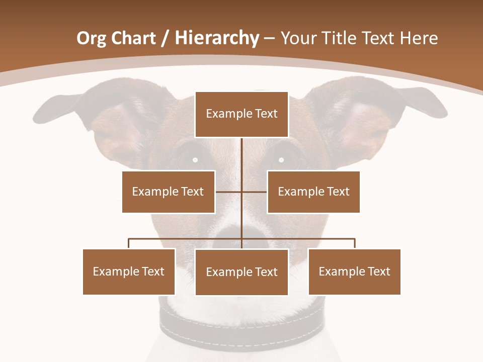 Funny Vet Spoon PowerPoint Template
