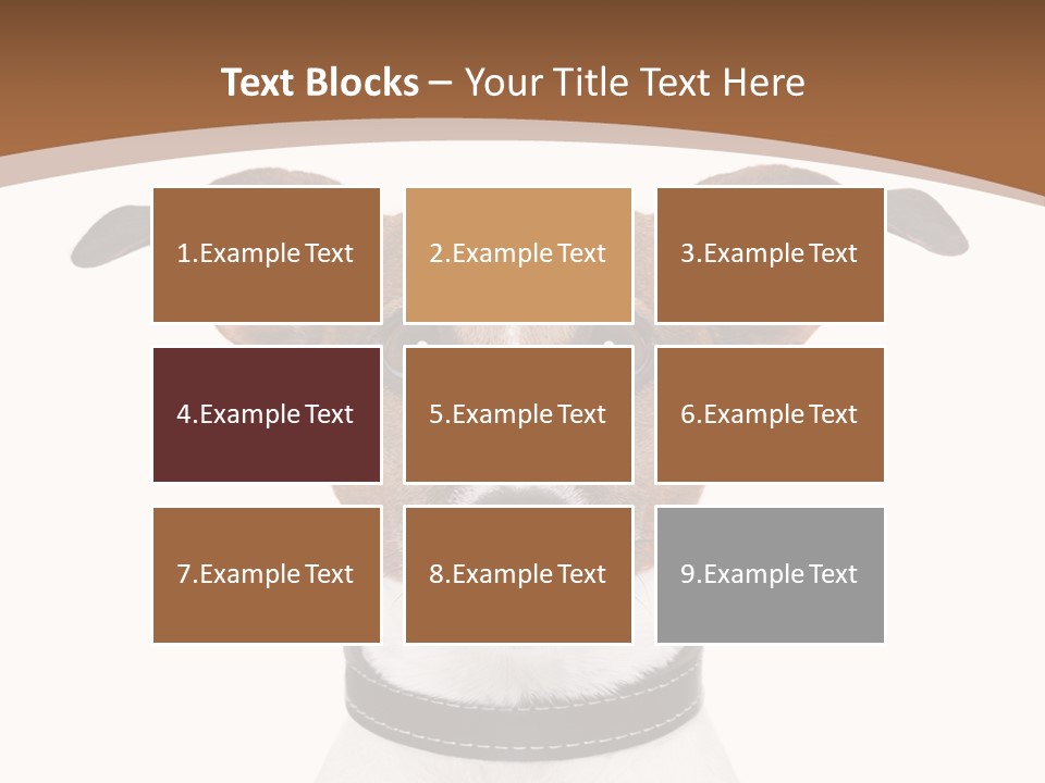 Funny Vet Spoon PowerPoint Template