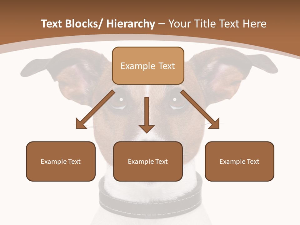 Funny Vet Spoon PowerPoint Template