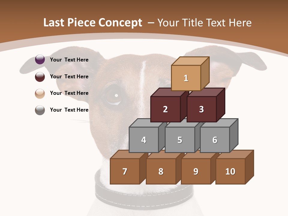 Funny Vet Spoon PowerPoint Template