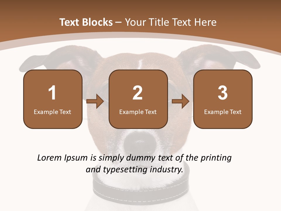 Funny Vet Spoon PowerPoint Template