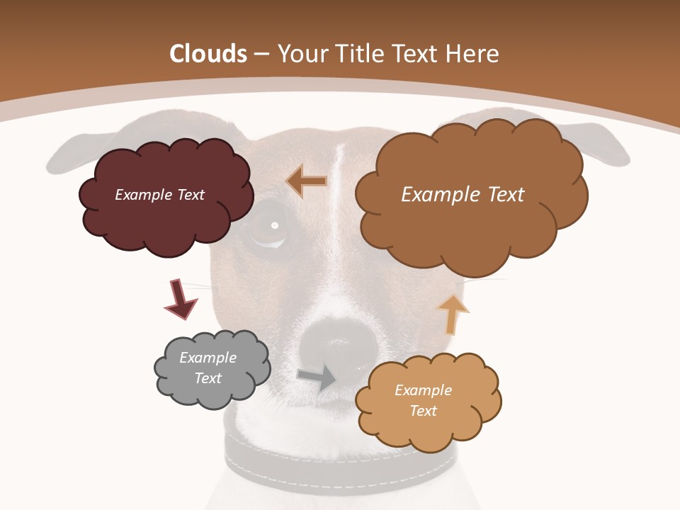 Funny Vet Spoon PowerPoint Template