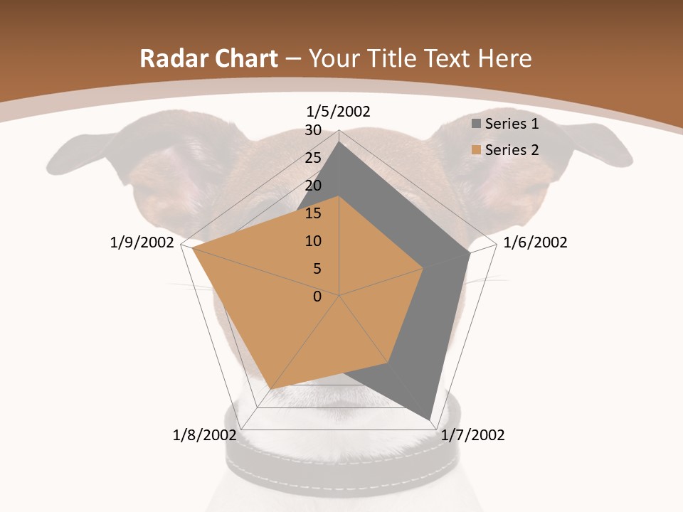 Funny Vet Spoon PowerPoint Template