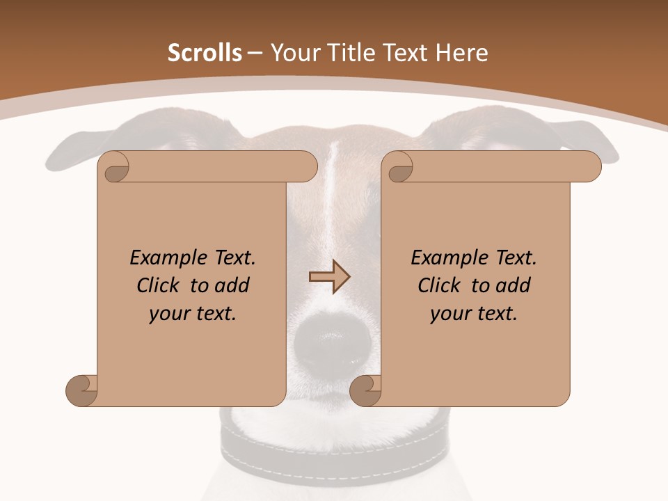 Funny Vet Spoon PowerPoint Template