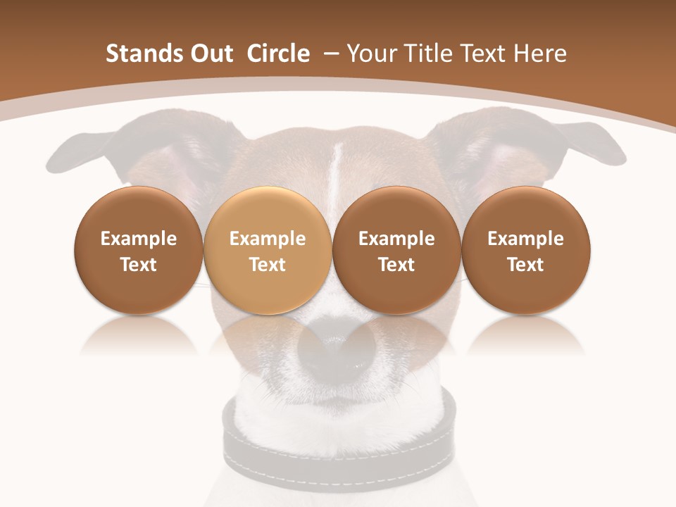 Funny Vet Spoon PowerPoint Template