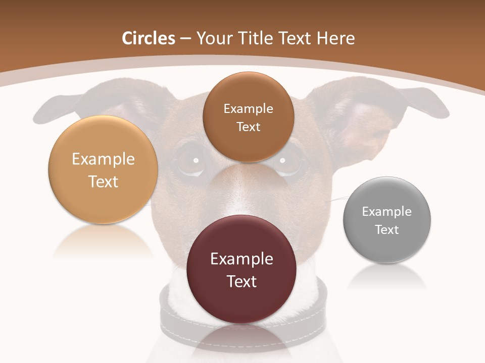 Funny Vet Spoon PowerPoint Template