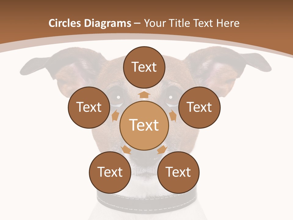 Funny Vet Spoon PowerPoint Template