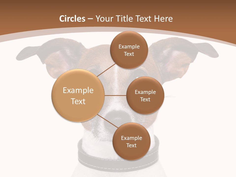 Funny Vet Spoon PowerPoint Template