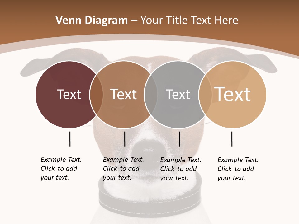 Funny Vet Spoon PowerPoint Template