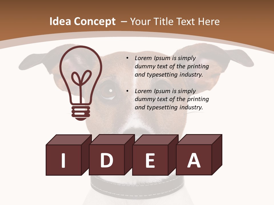 Funny Vet Spoon PowerPoint Template