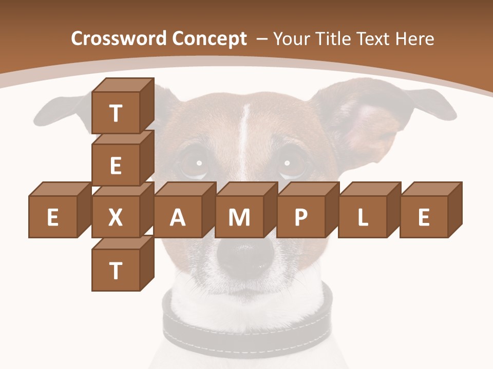 Funny Vet Spoon PowerPoint Template