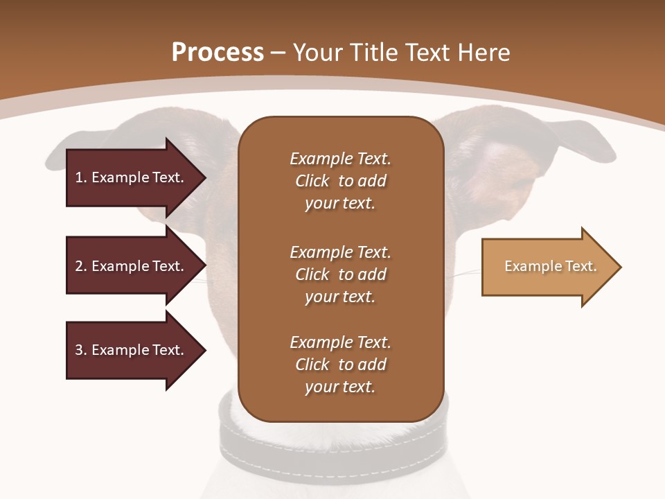 Funny Vet Spoon PowerPoint Template