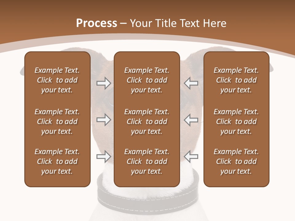 Funny Vet Spoon PowerPoint Template