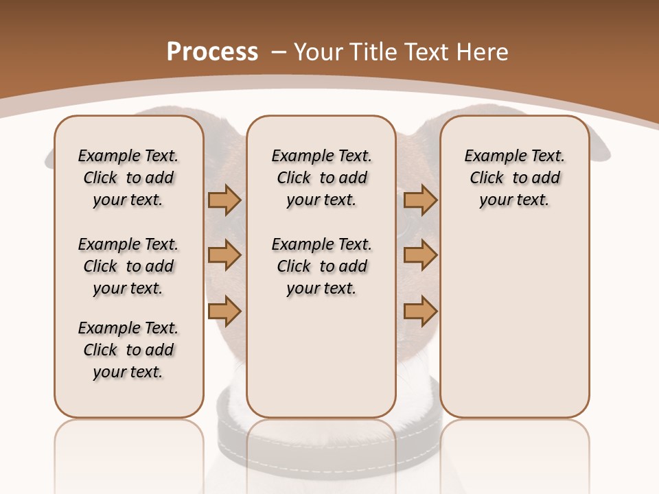 Funny Vet Spoon PowerPoint Template