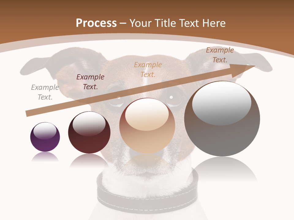 Funny Vet Spoon PowerPoint Template