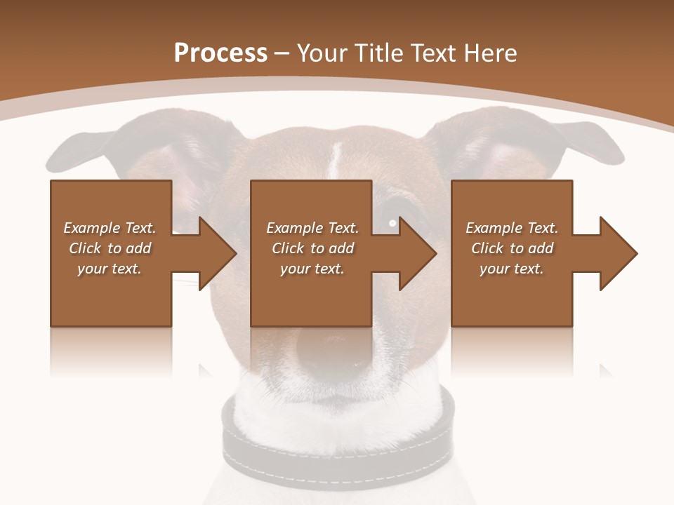 Funny Vet Spoon PowerPoint Template