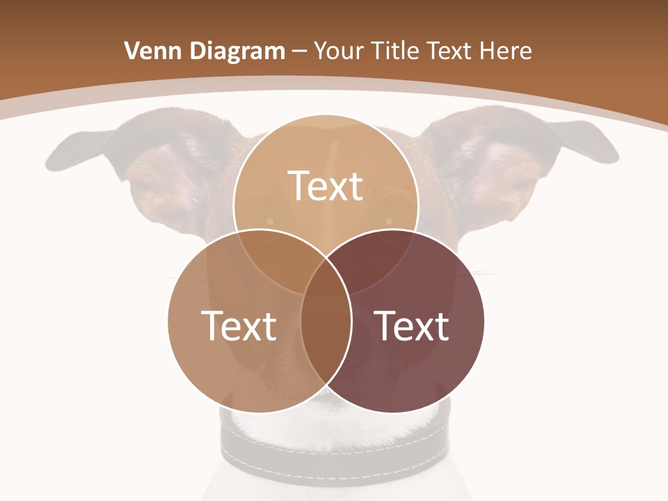 Funny Vet Spoon PowerPoint Template