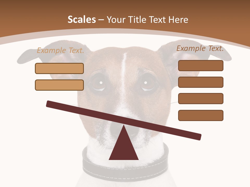 Funny Vet Spoon PowerPoint Template