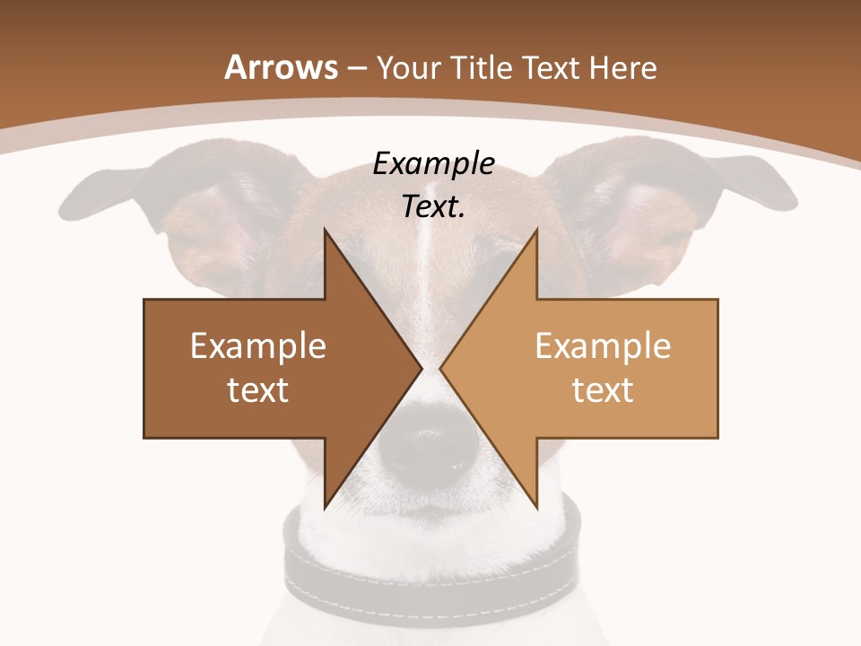 Funny Vet Spoon PowerPoint Template