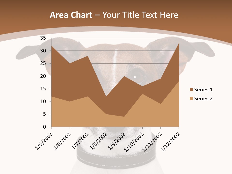 Funny Vet Spoon PowerPoint Template