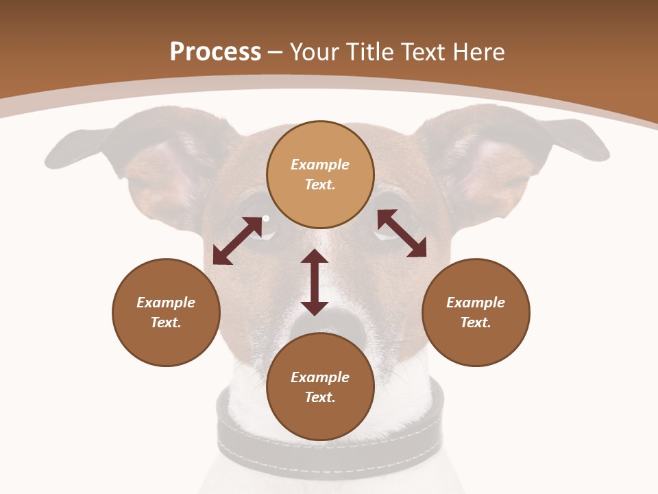 Funny Vet Spoon PowerPoint Template