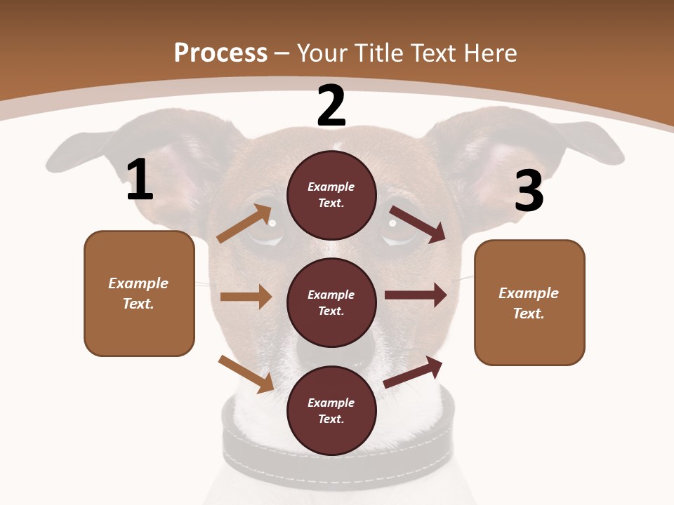 Funny Vet Spoon PowerPoint Template