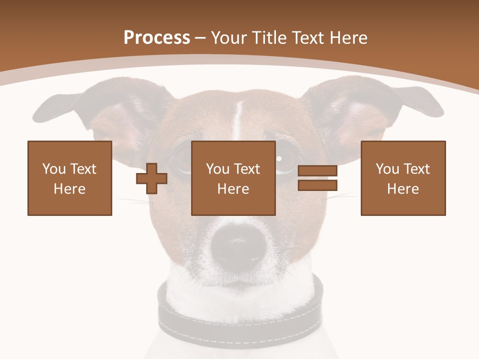 Funny Vet Spoon PowerPoint Template